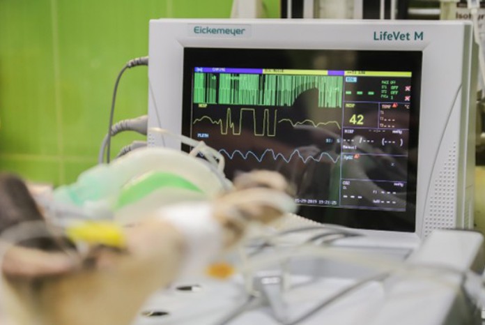 Phillip Zmijewskis Take